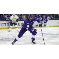 Forward Jason Pineo with Niagara University