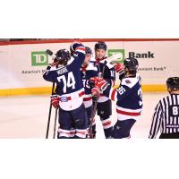 South Carolina Stingrays' Connor Moore, Lawton Courtnall and Michael Kim celebrate win