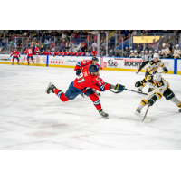 Springfield Thunderbirds' Martin Frk in action