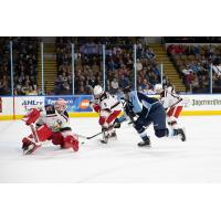 Grand Rapids Griffins' Alex Nedeljkovic and Eemil Viro versus Milwaukee Admirals' Joakim Kemell