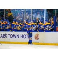 Saskatoon Blades celebrate win