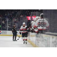 Belleville Senators celebrate win