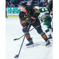 Vancouver Giants' Dylan Plouffe in action