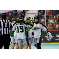 Saskatchewan Rush celebrate a goal