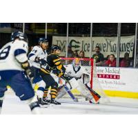 Worcester Railers HC goaltender Henrik Tikkanen vs. the Maine Mariners