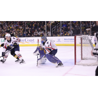 Springfield Thunderbirds goaltender Vadim Zherenko