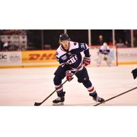 South Carolina Stingrays defenseman Robbie Stucker