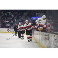 Belleville Senators exchange fist bumps with the bench