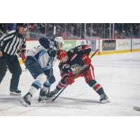 Grand Rapids Griffins center Danny O'Regan (right) faces off with the Milwaukee Admirals