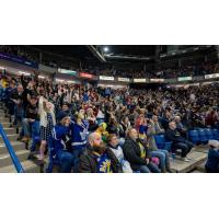 Record Saskatoon Blades' Crowd at SaskTel Centre