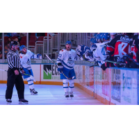 Wichita Thunder exchange fist bumps along the bench