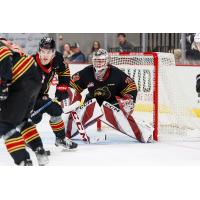 Vancouver Giants' Brett Mirwald in action