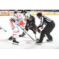 Lehigh Valley Phantoms' Artem Anisimov versus Hershey Bears' Henry Rybinski