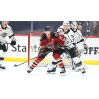 Tucson Roadrunners' Jan Jenik and Ontario Reign's Tobias Bjornfot and Cal Petersen in action