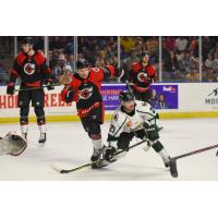 Cincinnati Cyclones' Patrick Polino and Utah Grizzlies' Tyler Penner in action