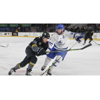 Wichita Thunder battles the Iowa Heartlanders