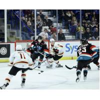 Vancouver Giants' Ty Thorpe in action