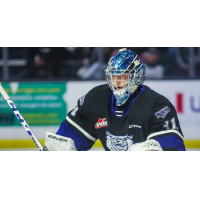 Victoria Royals' Tyler Palmer