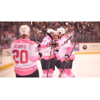 South Carolina Stingrays celebrate win