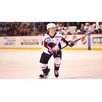 South Carolina Stingrays defenseman Michael Kim