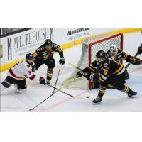 Wheeling Nailers defend against the Reading Royals