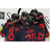 Cincinnati Cyclones celebrate a goal