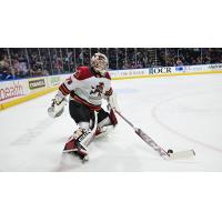 Tucson Roadrunners goaltender David Tendeck