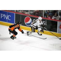 Lehigh Valley Phantoms' Louie Belpedio versus Hershey Bears' Ethen Frank