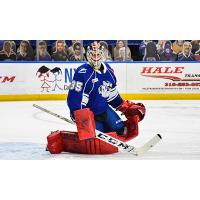 Goaltender Ryan Bednard with the Syracuse Crunch