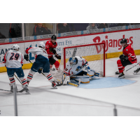 Springfield Thunderbirds defend against the Charlotte Checkers