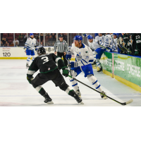 Utah Grizzlies' Cory Thomas and Wichita Thunder's Jay Dickman in action