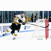 Forward Ty Enns with Adrian College