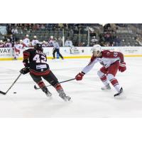 Rapid City Rush's Alex Aleardi versus Allen Americans' Zachary Massicotte