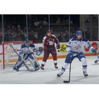 Peterborough Petes' Tucker Robertson and Sudbury Wolves' Dylan Robinson