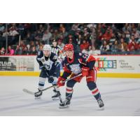 Grand Rapids Griffins' Carter Mazur on game night