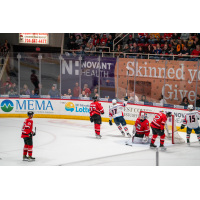 Nikita Alexandrov of the Springfield Thunderbirds (17) celebrates a goal against the Charlotte Checkers