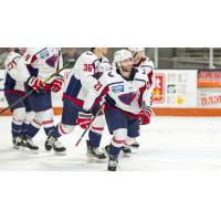 South Carolina Stingrays' Max Humitz on game night