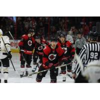 Cincinnati Cyclones on the ice