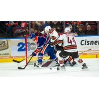 Tucson Roadrunners' Steven Kampfer in action