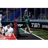 Saskatchewan Rush celebrate a goal against the Vancouver Warriors