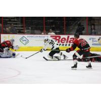 Wheeling Nailers' Gianlucca Esteves and Cincinnati Cyclones' Ryan Wheeler in action