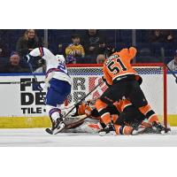 Bridgeport Islanders' Cole Bardreau and Lehigh Valley Phantoms' Artem Anisimov in action