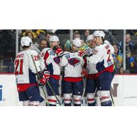 South Carolina Stingrays celebrate a goal