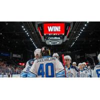 Rockford IceHogs and goaltender Arvid Soderblom celebrate a win