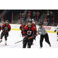 Adam Berg of the Cincinnati Cyclones