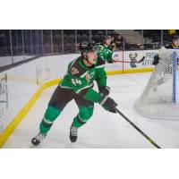 Utah Grizzlies' Luke Martin in action