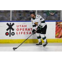 Utah Grizzlies' Luke Martin on the ice