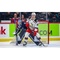 Grand Rapids Griffins forward Jasper Weatherby