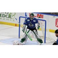 Adam Scheel of the Idaho Steelheads