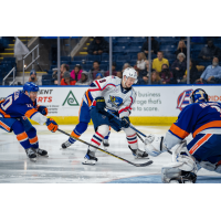 Springfield Thunderbirds' Mikhail Abramov in action